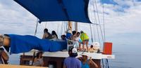 Fiji - Segeltörn nach Schooner Island
