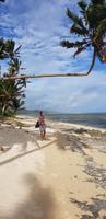 Fiji - Warwick Hotel - Strandspaziergang