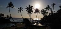 Fiji - Warwick Hotel