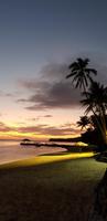 Fiji - Warwick Hotel