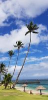 Fiji - Warwick Hotel