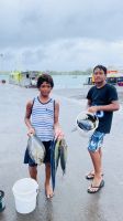 Fische gucken im Hafen von Rangiroa