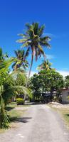 Inselrundfahrt auf Fiji - Dorf „Viseisei Village“