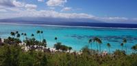 Inselrundfahrt auf Moorea