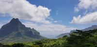 Inselrundfahrt auf Moorea