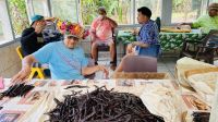 Inselrundfahrt auf Tahaa - zu Besuch auf der Vanille Plantage