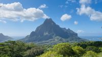 Inselrundfahrt mit den Jeeps auf Moorea - Belvedere Aussichtspunkt