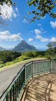 Inselrundfahrt mit den Jeeps auf Moorea - Belvedere Aussichtspunkt