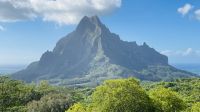 Inselrundfahrt mit den Jeeps auf Moorea - Belvedere Aussichtspunkt