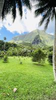 Inselrundfahrt mit den Jeeps auf Moorea 
