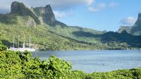 Inselrundfahrt mit den Jeeps auf Moorea 
