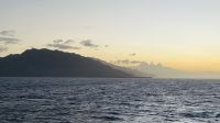 Inselrundfahrt mit den Jeeps auf Moorea 