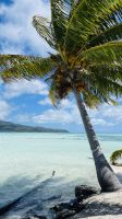 Lagune von Tahaa - Motu Mahana 