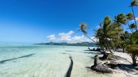 Lagune von Tahaa - Motu Mahana 