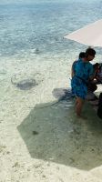 Lagunentour Bora Bora - Mittagessen auf einem Motu