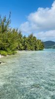 Lagunentour Bora Bora - Mittagessen auf einem Motu