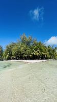 Lagunentour Bora Bora - Mittagessen auf einem Motu