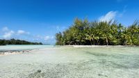 Lagunentour Bora Bora - Mittagessen auf einem Motu