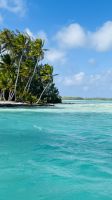 Lagunentour Bora Bora - Mittagessen auf einem Motu