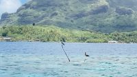 Lagunentour Bora Bora