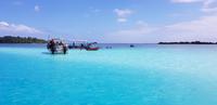 Moorea - Lagunentour