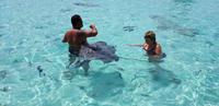 Moorea - Lagunentour