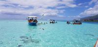 Moorea - Lagunentour