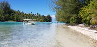 Moorea - Mittagessen auf Motu Fareone