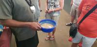 Rundgang auf dem Wochenmarkt von Nadi - Zubereitung von Kava 