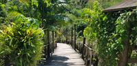 Rundgang durch den „Sleeping Giant Park“