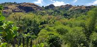 Rundgang durch den „Sleeping Giant Park“