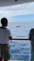Seetag - vorbei an einem scheinbar führerlosen Fischerboot
