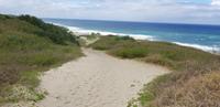 Sigatoka Nationalpark - Sanddünen