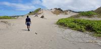 Sigatoka Nationalpark - Sanddünen