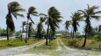 Spaziergang auf Rangiroa