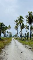 Spaziergang auf Rangiroa