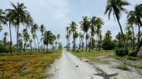 Spaziergang auf Rangiroa