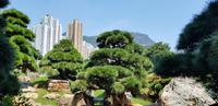 Stadtrundfahrt Hong Kong - Chi Lin Tempel