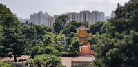 Stadtrundfahrt Hong Kong - Chi Lin Tempel