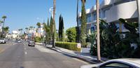 Stadtrundfahrt in Los Angeles