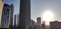 Stadtrundfahrt in Los Angeles