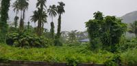 Tahiti Inselrundfahrt