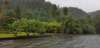 Tahiti Inselrundfahrt