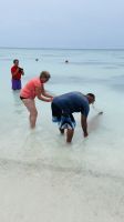 nochmal Haie streicheln auf Fakarava