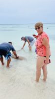 nochmal Haie streicheln auf Fakarava