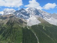 Ortler