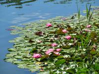 kleiner Montiggler See