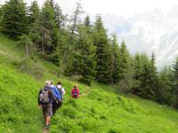 Wanderung am Monte Rite