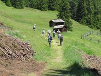 Abstieg vom Kronplatz