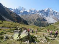 Rosimboden mit Blick zum Ortler
